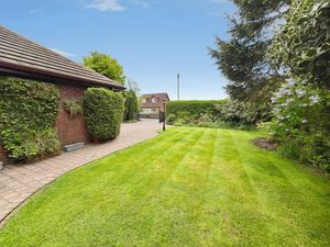 Front Garden- click for photo gallery